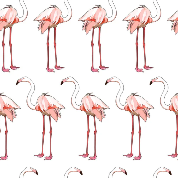 Sömlös Bakgrund Med Flamingos Vektorillustration Eps — Stock vektor