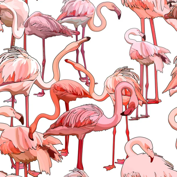 Fundo Sem Costura Com Flamingos Ilustração Vetorial Eps — Vetor de Stock