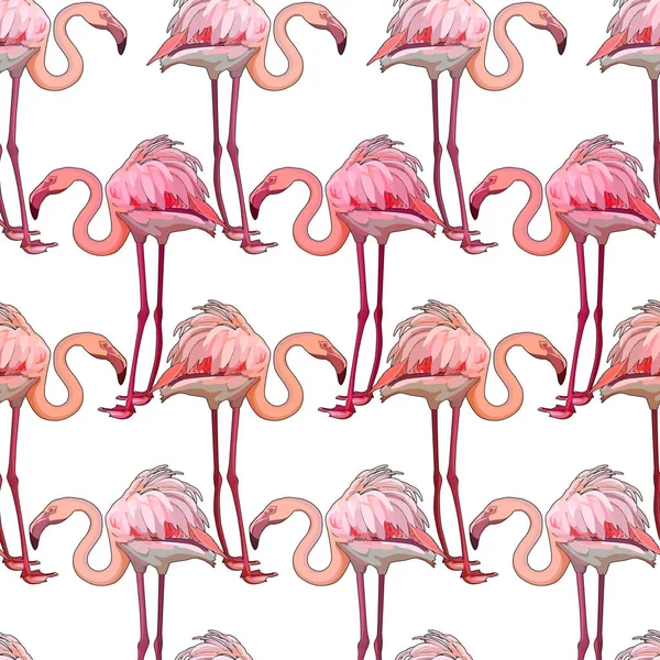 Fundo sem costura com flamingos — Vetor de Stock