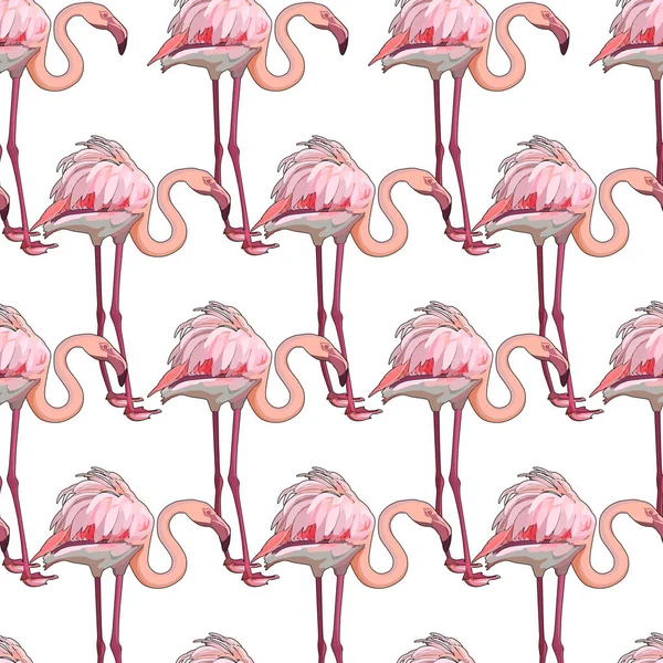 Seamless background with flamingos — Stock Vector