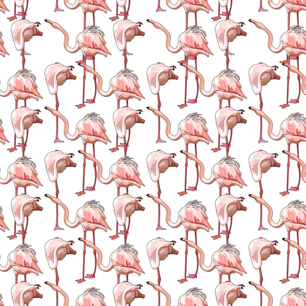 Sömlös bakgrund med flamingos — Stock vektor