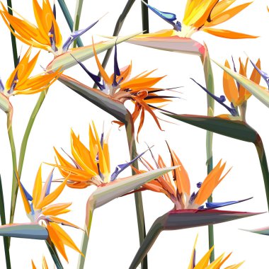 Strelitzia Reginae ile kesintisiz arka plan