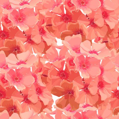 Pembe phlox dikişsiz arka plan