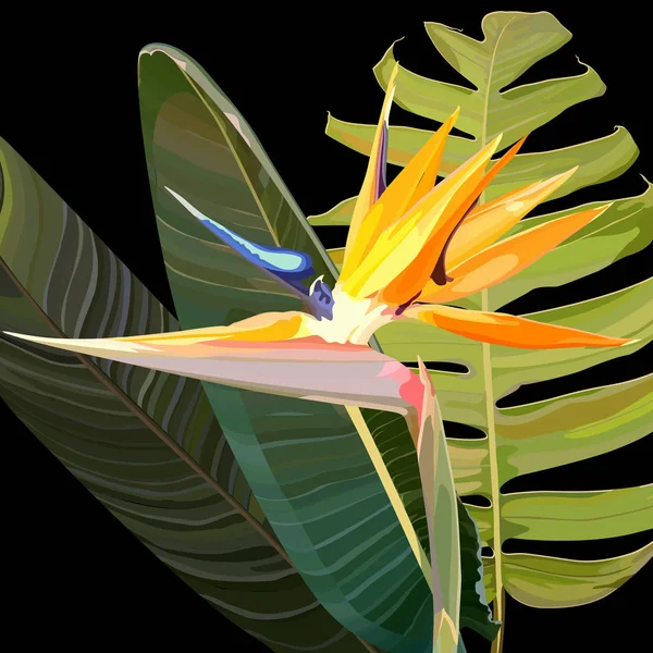 Strelitzia Reginae Bouquets Fleurs Tropicales Orange Vecteur Ensemble Isolé Sur — Image vectorielle