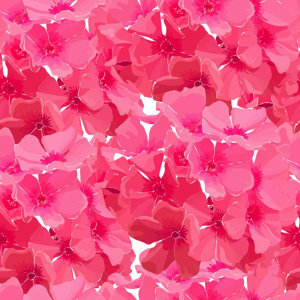 粉红色 phlox 的无缝背景 — 图库矢量图片