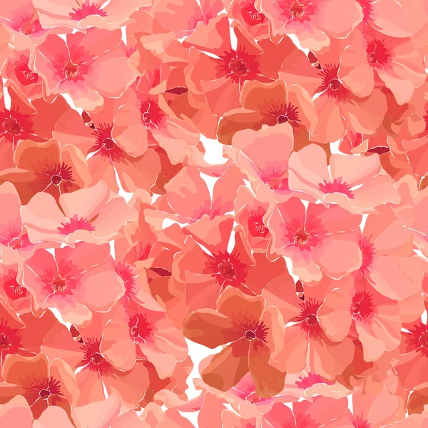 粉红色 phlox 的无缝背景 — 图库矢量图片