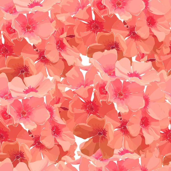 Pembe phlox dikişsiz arka plan