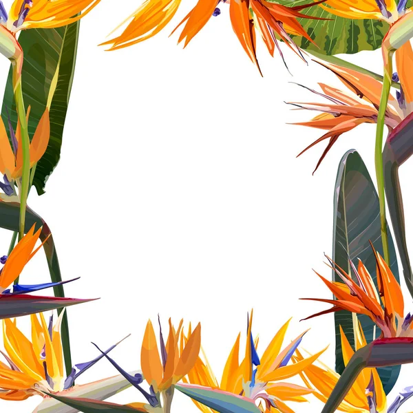 Cadre avec Strelitzia Reginae — Image vectorielle