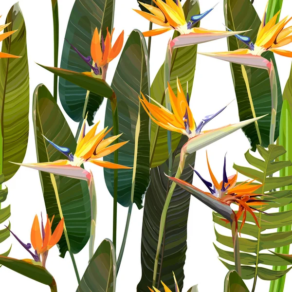 Nahtloser Hintergrund mit Strelitzia reginae — Stockvektor