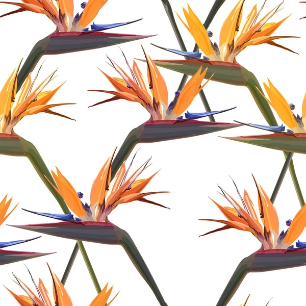 Fundo sem costura com Strelitzia Reginae — Vetor de Stock