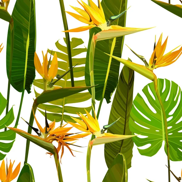 Fundo sem costura com Strelitzia Reginae —  Vetores de Stock