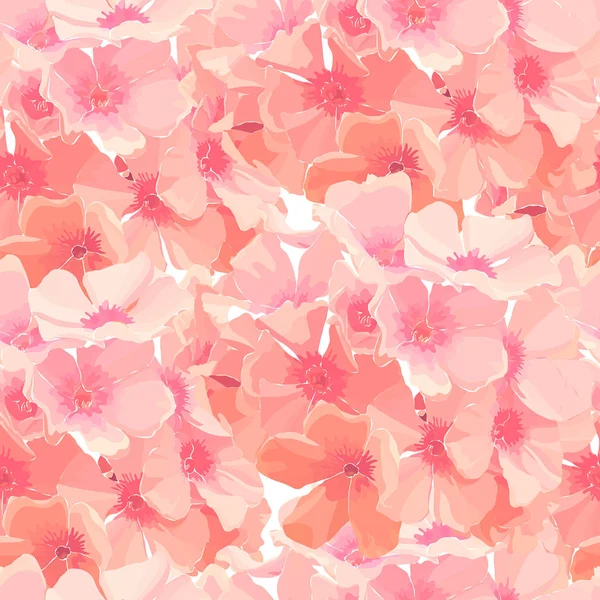 粉红色 phlox 的无缝背景 图库矢量图片