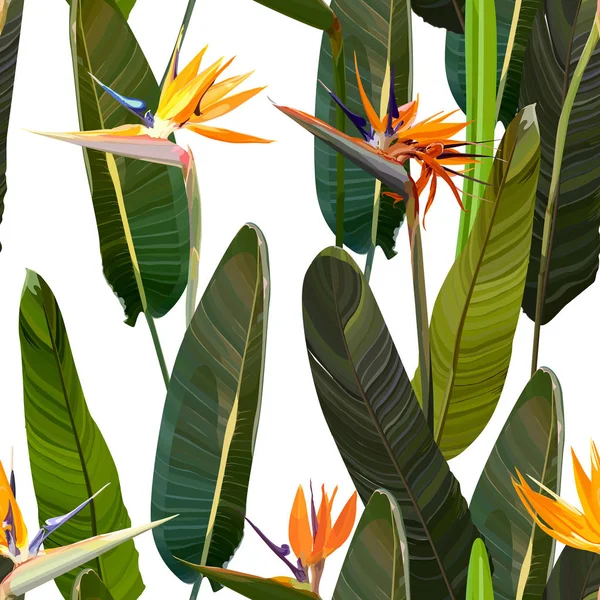 Sömlös bakgrund med Strelitzia reginae Stockillustration