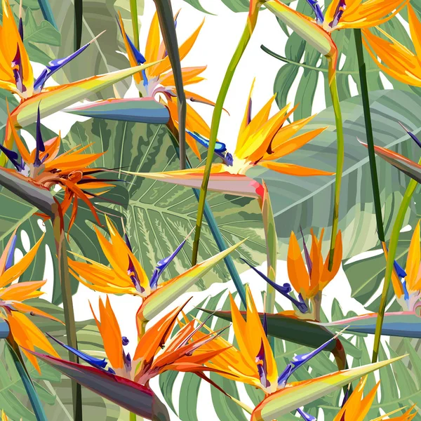 Sömlös bakgrund med Strelitzia reginae Vektorgrafik