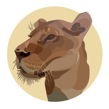 Aslanın vektör portresi