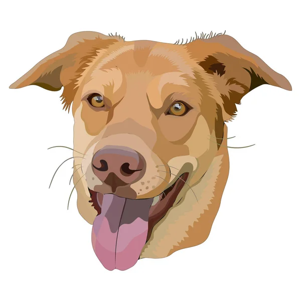 Portret van hond — Stockvector