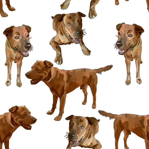 Безшовний фон з собаками — стоковий вектор