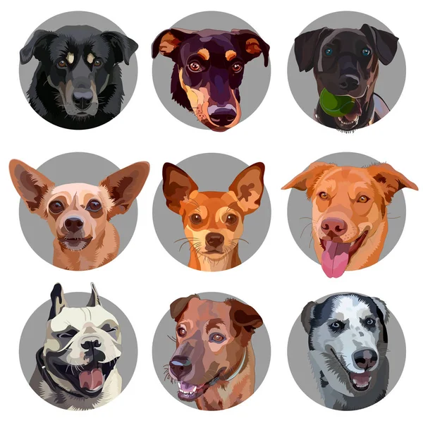 Set stickers met hondenkoppen — Stockvector