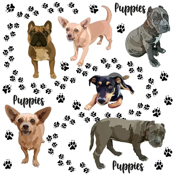 Set van pups — Stockvector