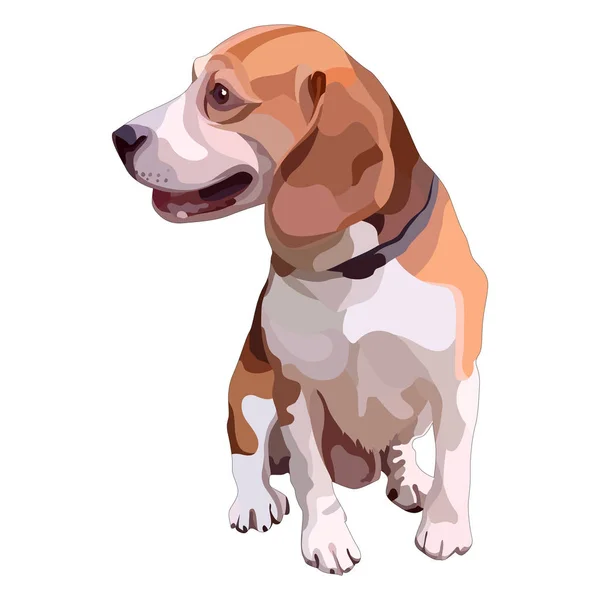 Brun beagle Royaltyfria Stockvektorer