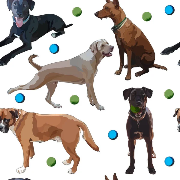Varratmentes háttérben kutyák Stock Illusztrációk
