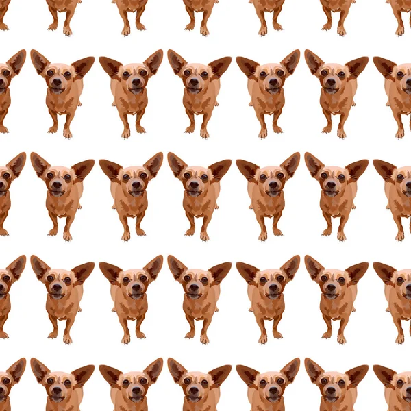 Απρόσκοπτη φόντο με σκύλους, chihuahua — Διανυσματικό Αρχείο