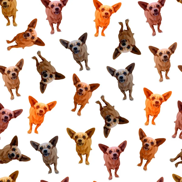 Fondo sin costuras con perros, chihuahua Vector de stock