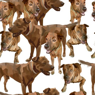 Köpeklerle kusursuz bir geçmişi var. Vektör, Bölüm 10