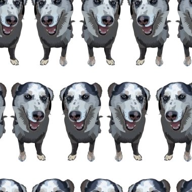 Köpeklerle kusursuz bir geçmişi var. Vektör, Bölüm 10