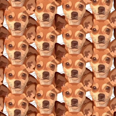 Köpeklerle kusursuz bir geçmişi var. Vektör, Bölüm 10