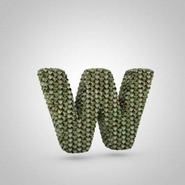 Volumetric ejderha cilt küçük harf W beyaz arka planda izole. ayrıntılı ölçekler doku ile 3B işlenmiş alfabe. Afiş, poster, kapak, logo tasarım şablon elemanı için modern yazı.