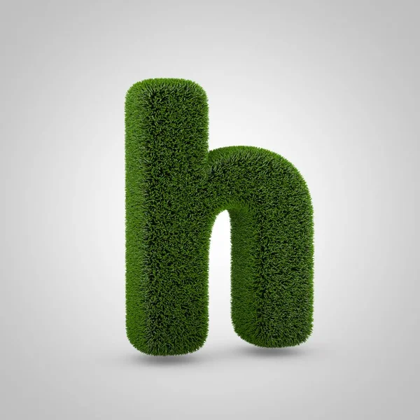 Volumetric Green Moss Lowercase Letter Isolated White Background Rendered Grass — Stock Photo, Image