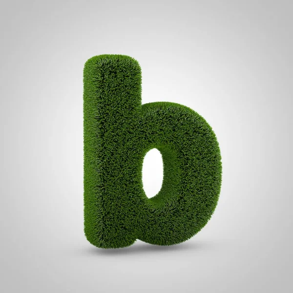 Volumetric Green Moss Lowercase Letter Isolated White Background Rendered Grass — Stock Photo, Image