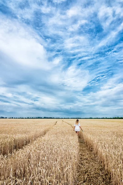 Girl White Strolls Rut Field Ripe Wheat Blue Sky — Stock Photo, Image