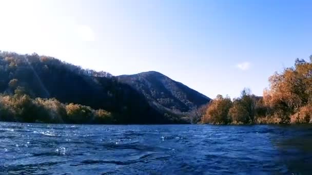 Річка Швидкі Маленькі Хвилі Білі Березові Стовбури Березі — стокове відео