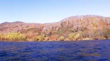 Nehrin hızlı, küçük dalgalar, beyaz huş ağacı mayo sahilde