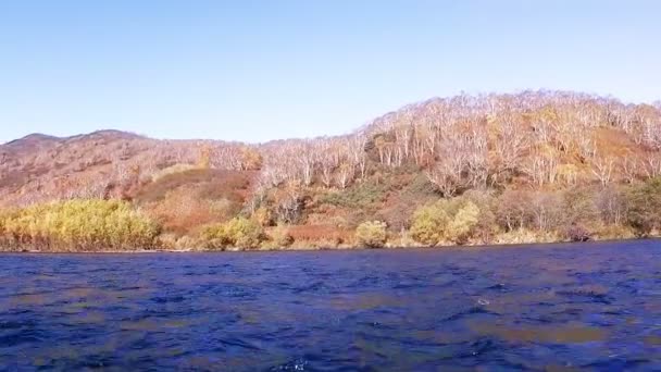 Rivier Snel Kleine Golven Witte Berk Stammen Oever — Stockvideo