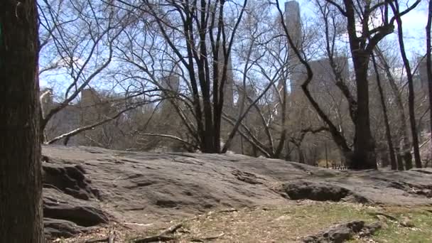 高層ビルを背景にニューヨークのセントラルパークの大きな岩 — ストック動画