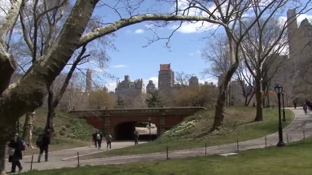 Grande Pedregulho Central Park Nova York Fundo Arranha Céus — Vídeo de Stock