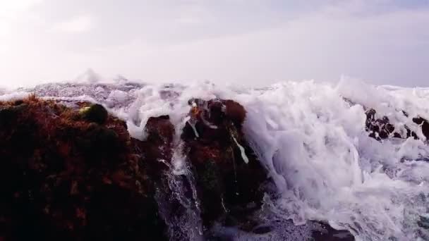 Waves Flowing Coral Reef — Stock Video