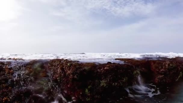 Waves Flowing Coral Reef — Stock Video