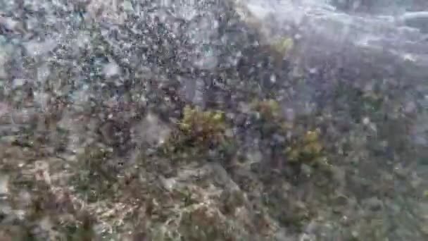 Okyanusta Altında Hava Kabarcıkları — Stok video