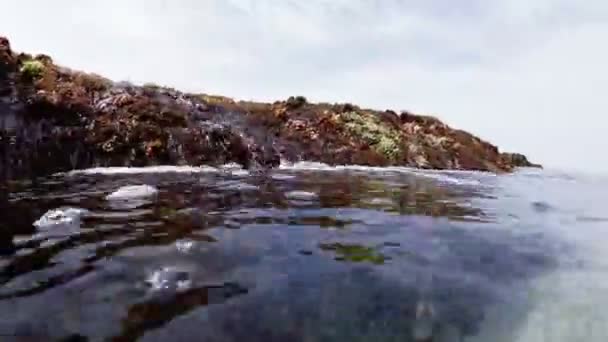 Ondas Que Fluem Através Recife Coral — Vídeo de Stock