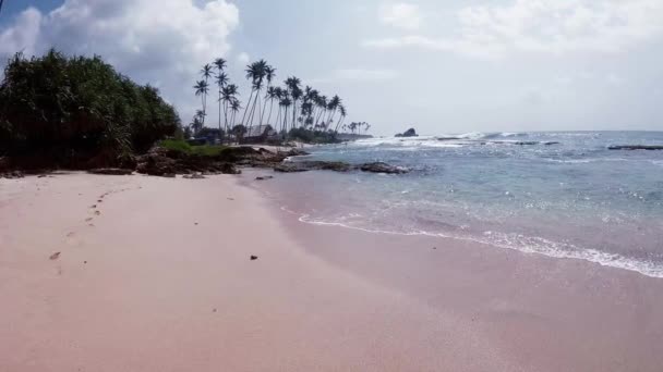 Oceano Palma Onde Sabbia Con Impronte — Video Stock