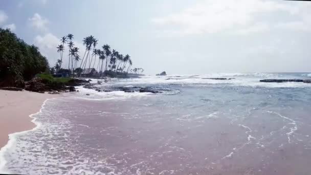 Oceano Palma Ondas Oceano Índico Uma Praia Deserta — Vídeo de Stock