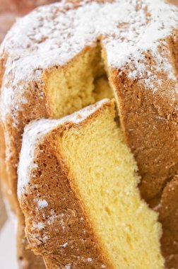 Pandoro - kopya alanı ile geleneksel İtalyan Noel kek