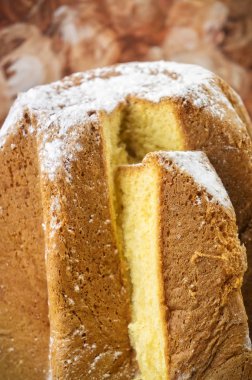 Pandoro - kopya alanı ile geleneksel İtalyan Noel kek