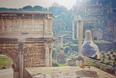 Roma, İtalya Roma Forumu kalıntıları görünümünü