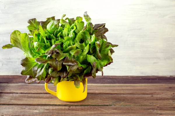 fresh salad leaves, red lettuce on wooden table