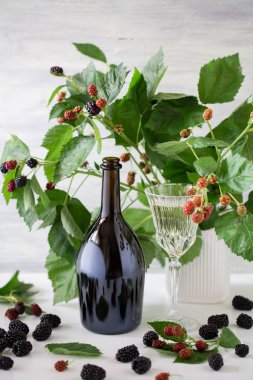 beyaz arka plan üzerinde şişe ile böğürtlen dalları